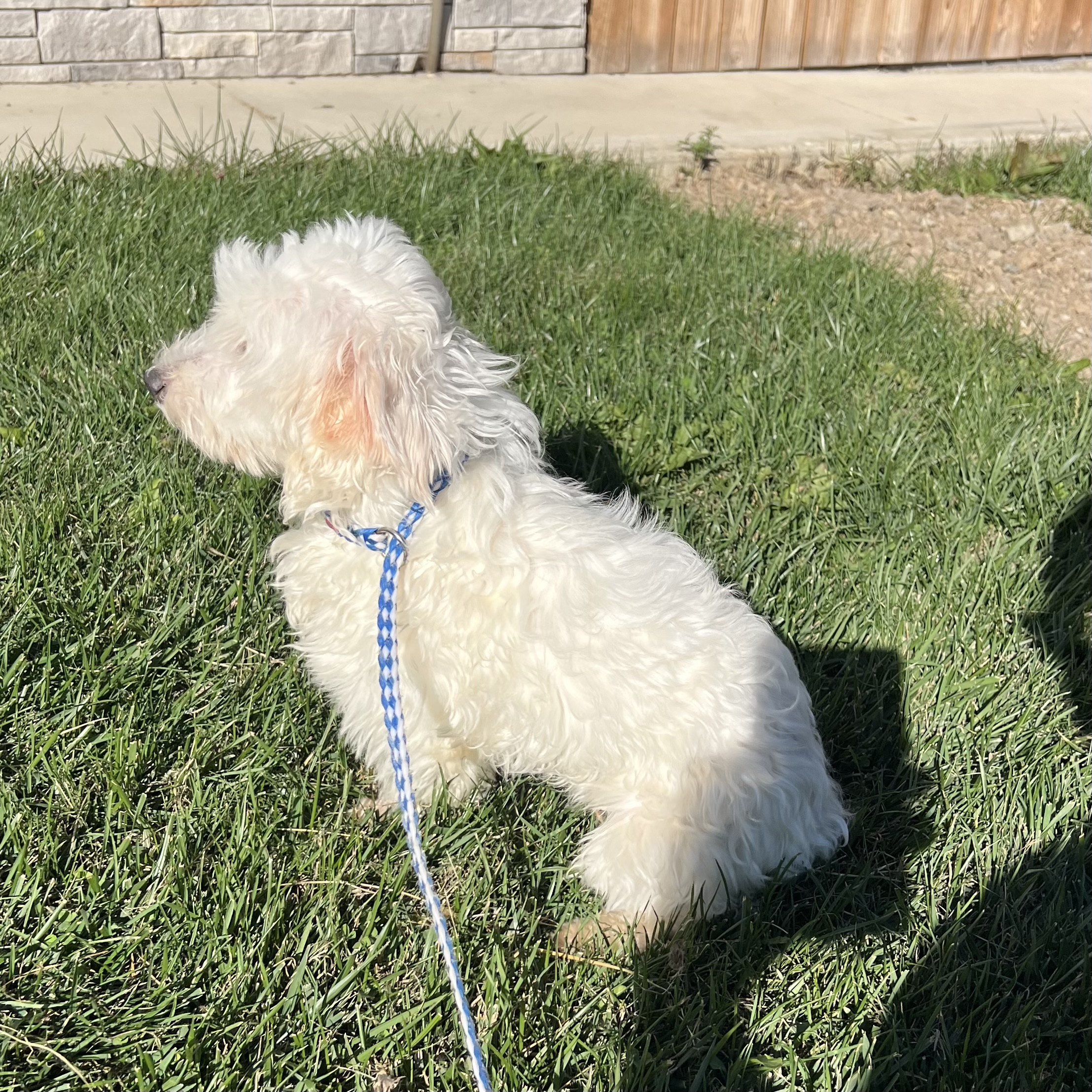 Nimbus